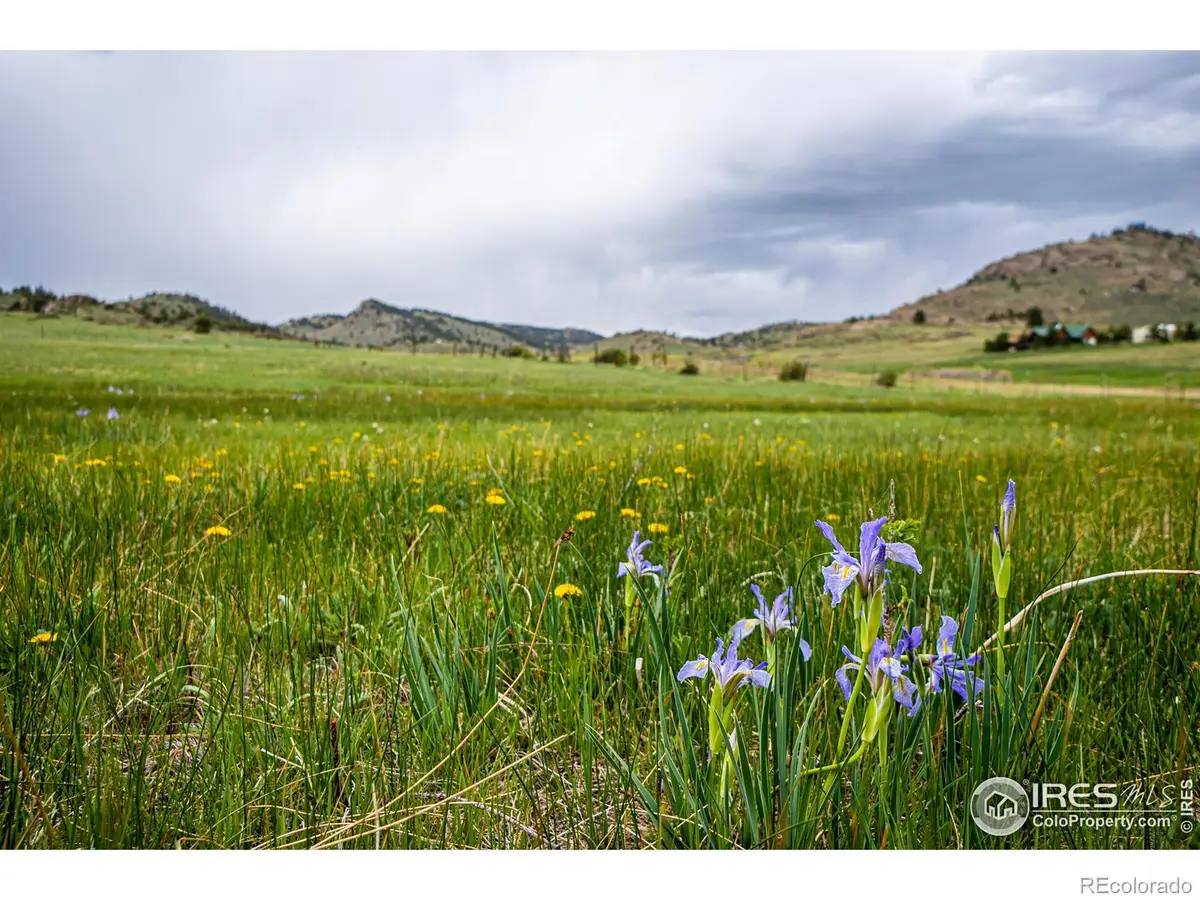 816 Meadow Way, Livermore, CO 80536 - Image #1