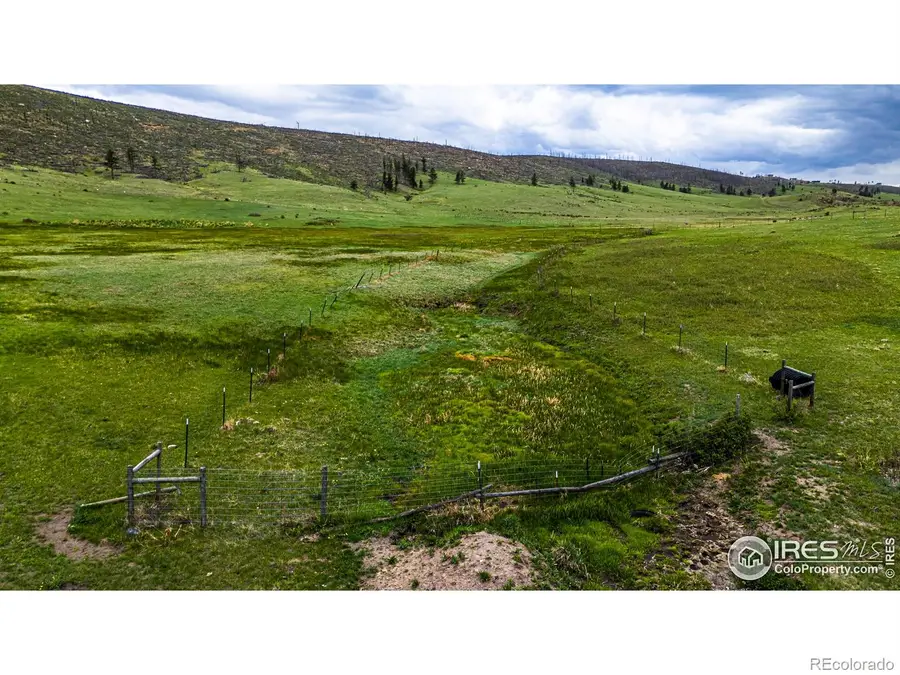 816 Meadow Way, Livermore, CO 80536 - Image #3