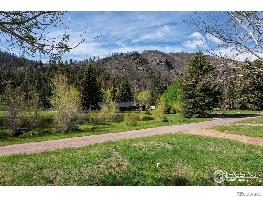 50 Meadow Lane, Bellvue, CO 80512 - #2