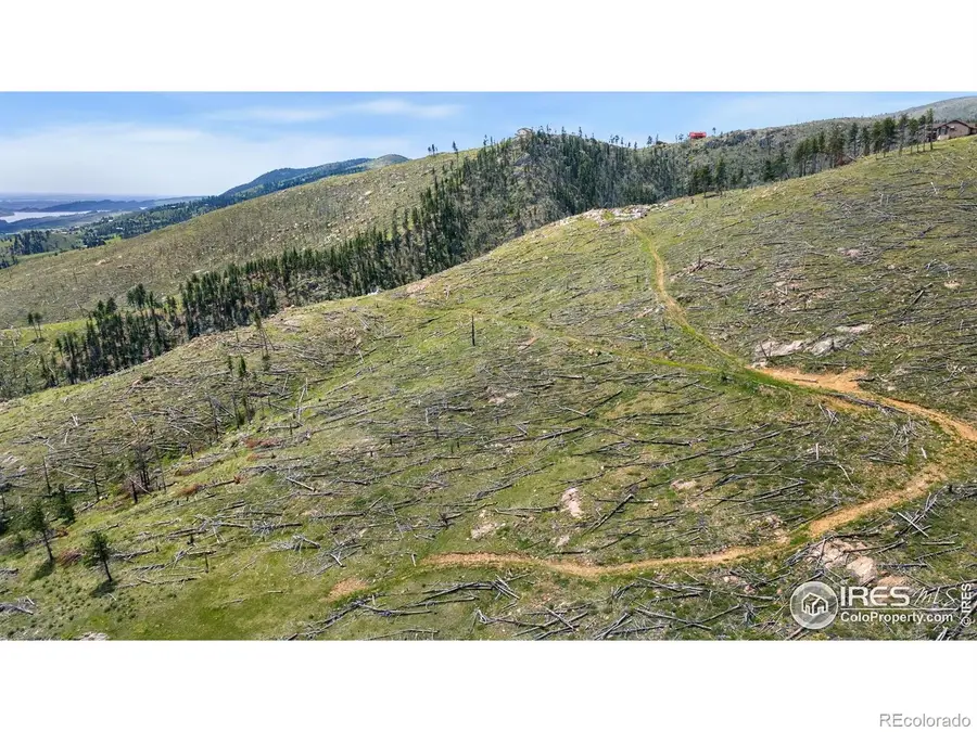 898 Hernia Hill Trail, Bellvue, CO 80512 - Image #2