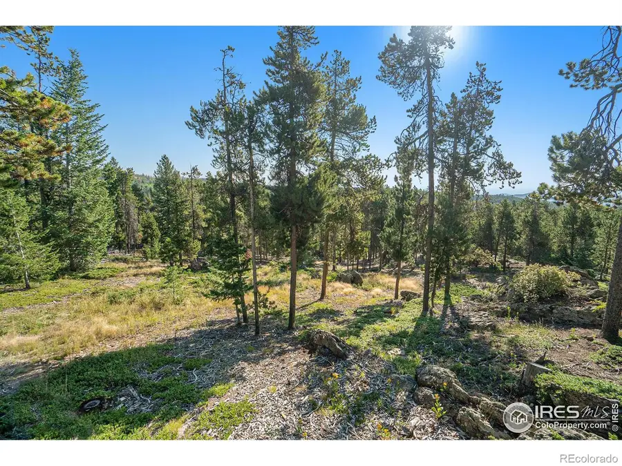 231 Granite Drive, Drake, CO 80515 - Image #2