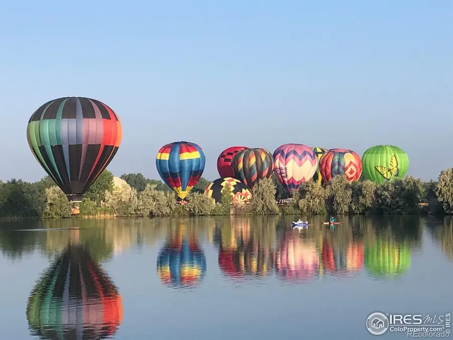 116 Cobble Court, Windsor, CO 80550 - Image #3