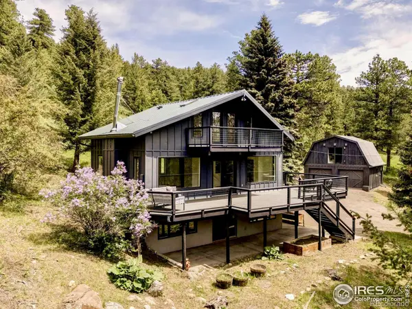 781 Cold Springs Road, Nederland, CO 80466