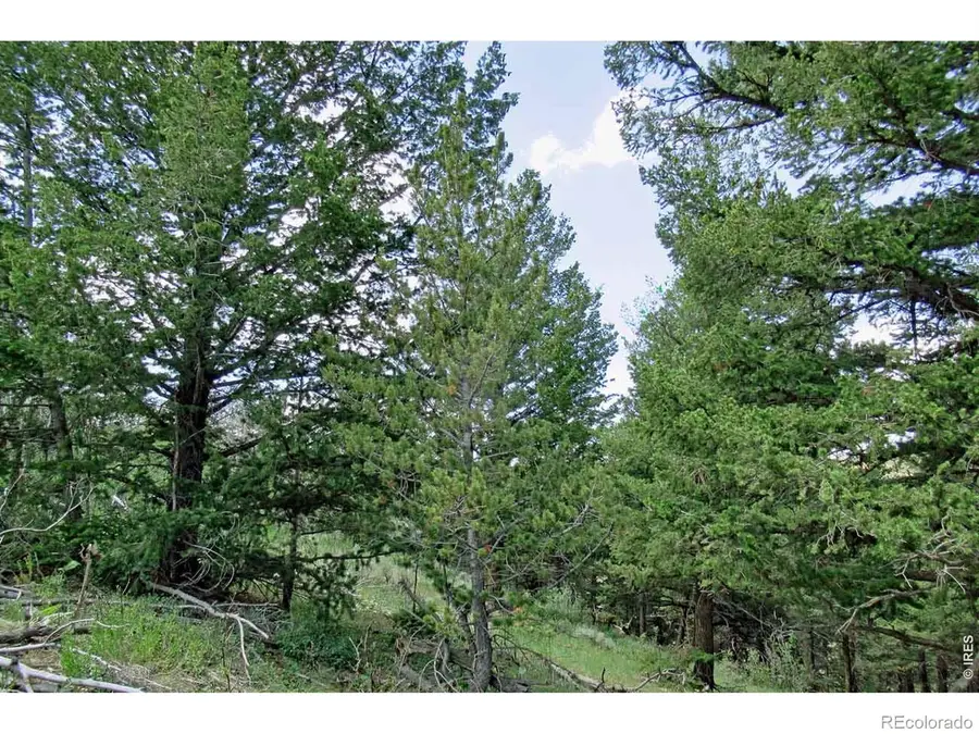 Address Withheld By Seller, Livermore, CO  - #2