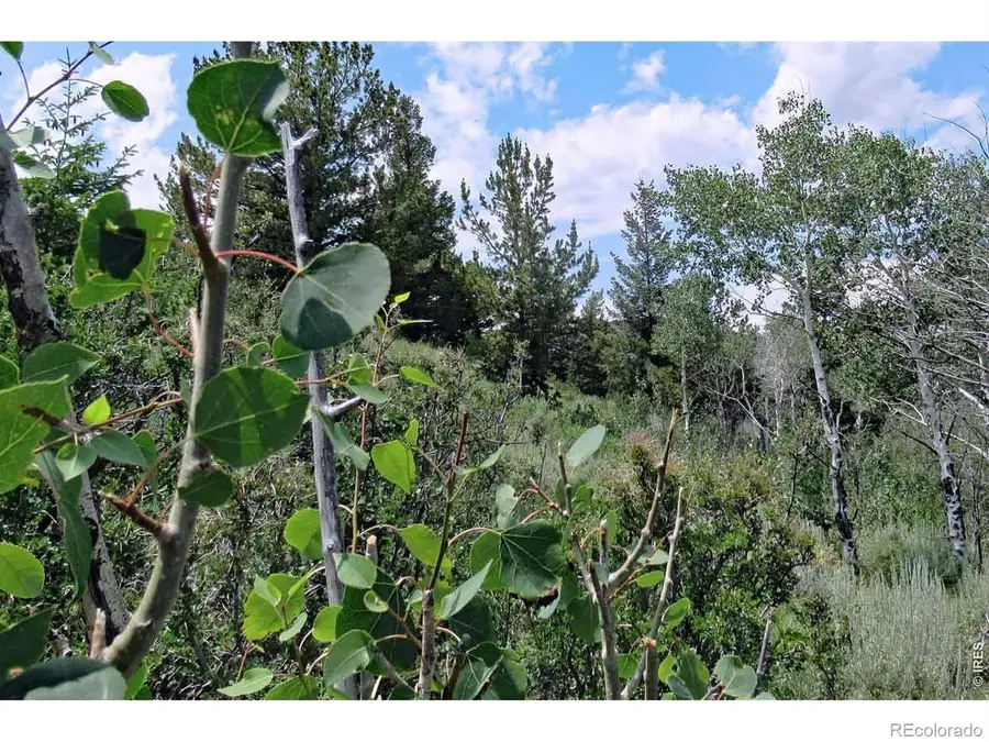 Address Withheld By Seller, Livermore, CO  - #3
