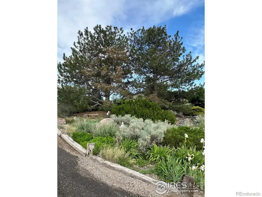 13748 Downing Street, Brighton, CO 80602 - Image #2