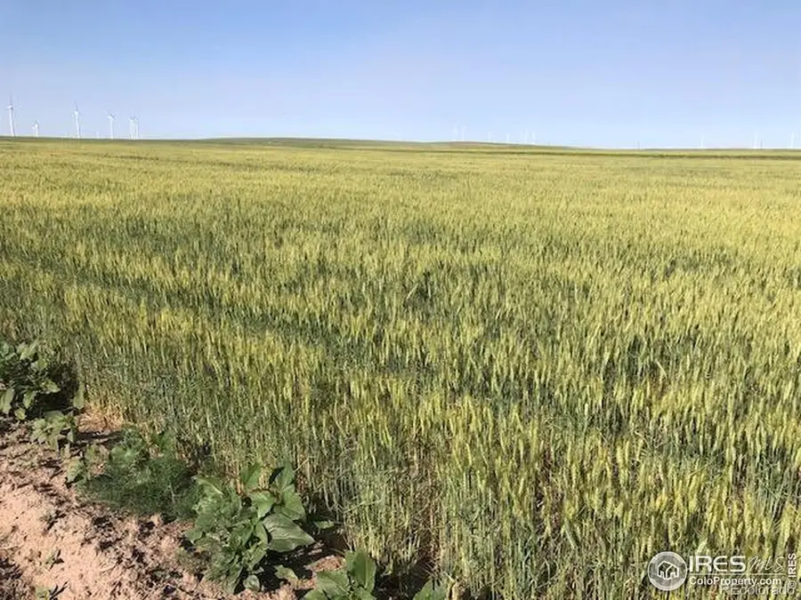 0 Cr 70, Briggsdale, CO 80611 - Image #2