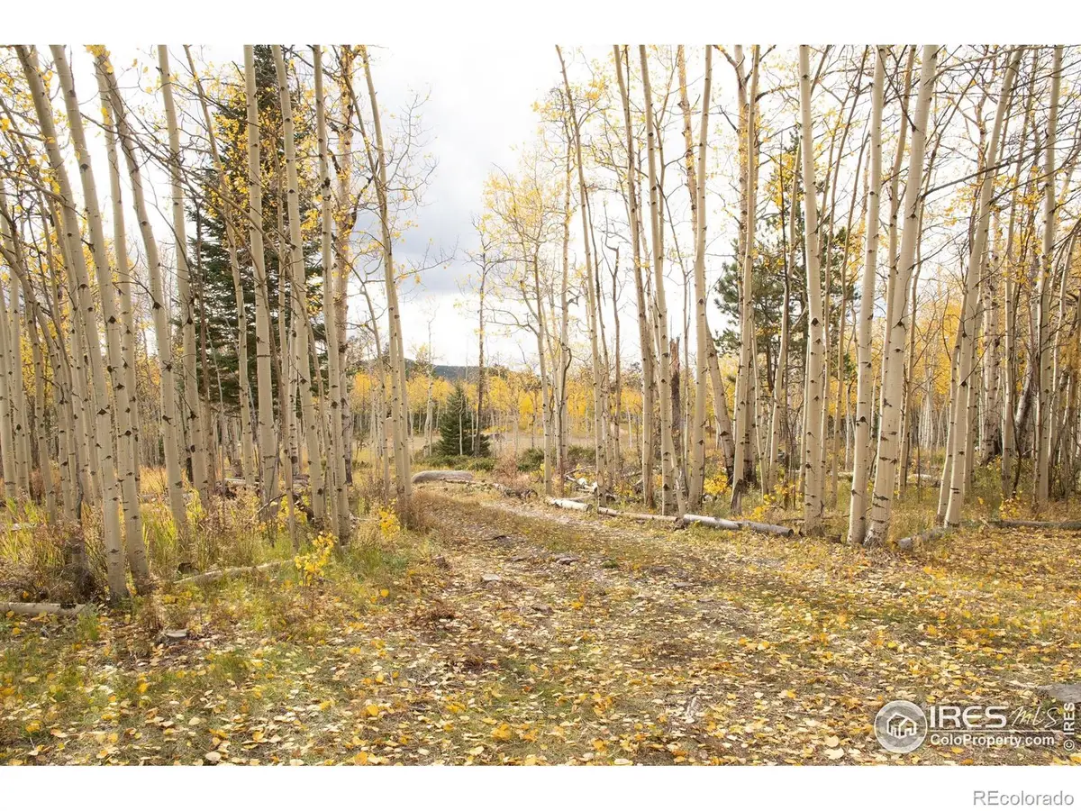 411 Tesuque Trail, Red Feather Lakes, CO 80545 - Image #1