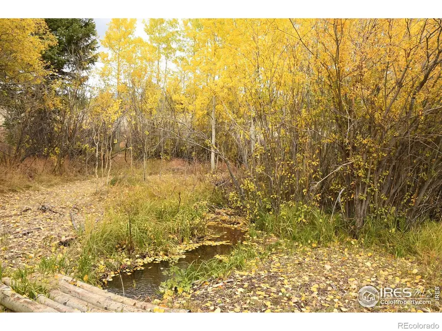 411 Tesuque Trail, Red Feather Lakes, CO 80545 - Image #2