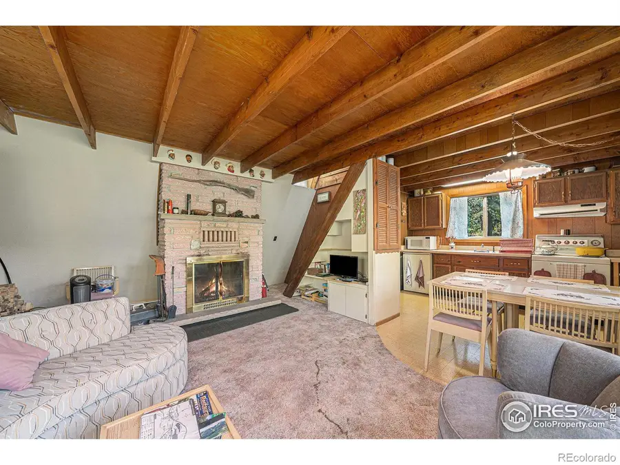 66 Circle Drive, Glen Haven, CO 80532 - Image #3