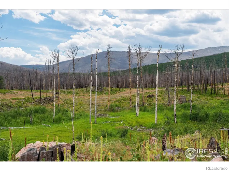 529 Quartz Road, Bellvue, CO 80512 - #2