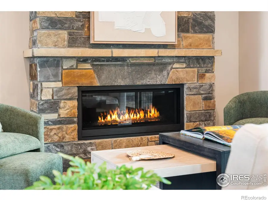 6719 Morning Song Court, Timnath, CO 80547 - Image #3