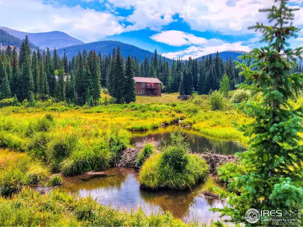 513 Rena Road, Breckenridge, CO 80424