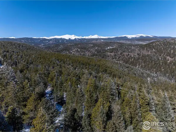 3153 Ridge Road, Nederland, CO 80466