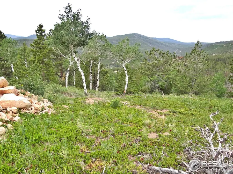 1601 Osage Trail, Red Feather Lakes, CO 80545 - Image #2