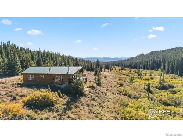 162 S Silk Sisters Place, Fairplay, CO 80440