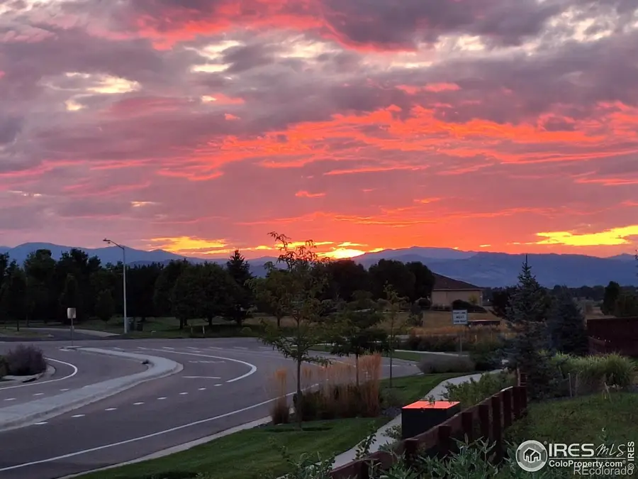 1813 Garden Flourish Court, Windsor, CO 80550 - Image #3