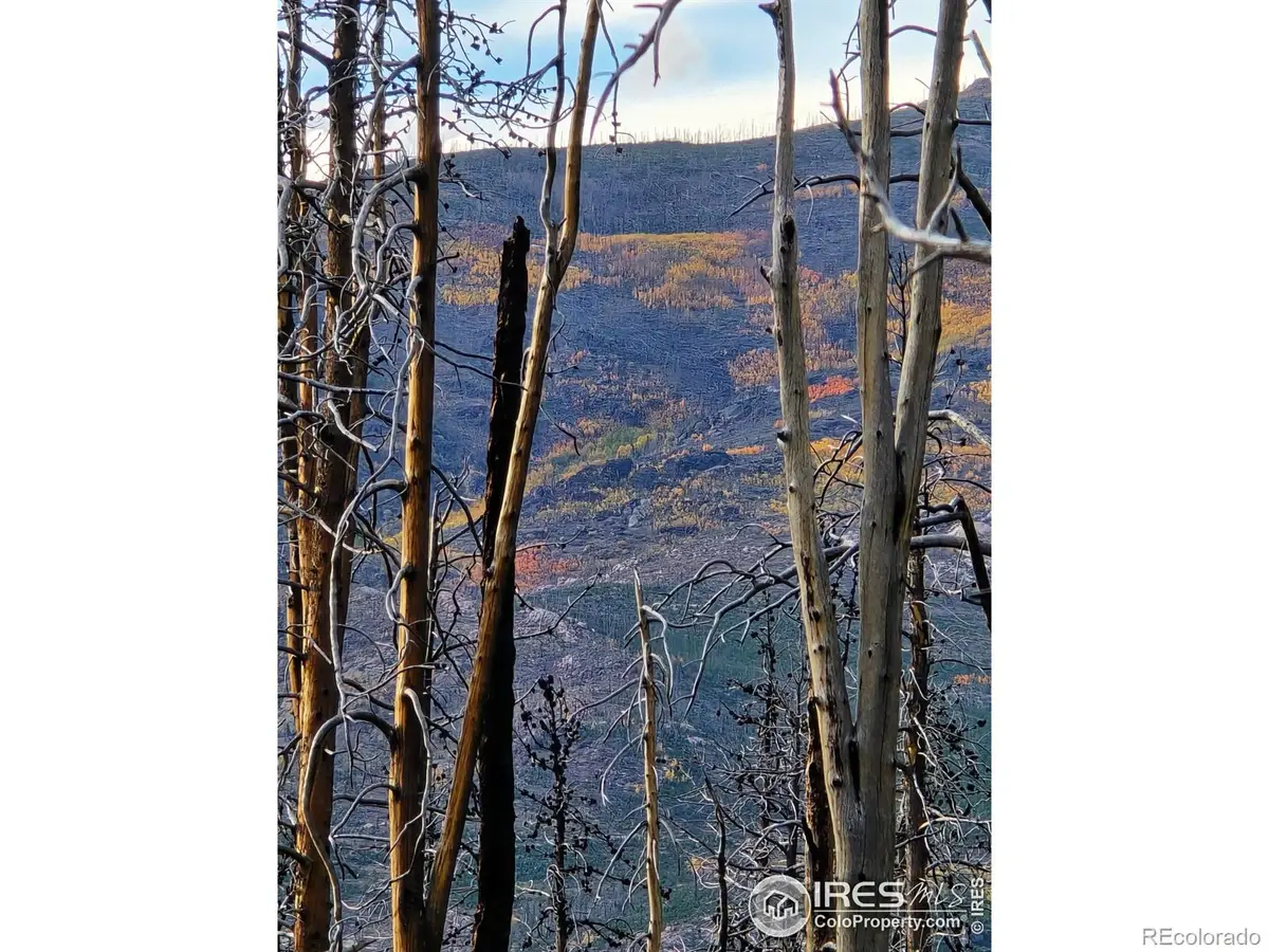 75 Sheep Horn Court, Bellvue, CO 80512 - #1