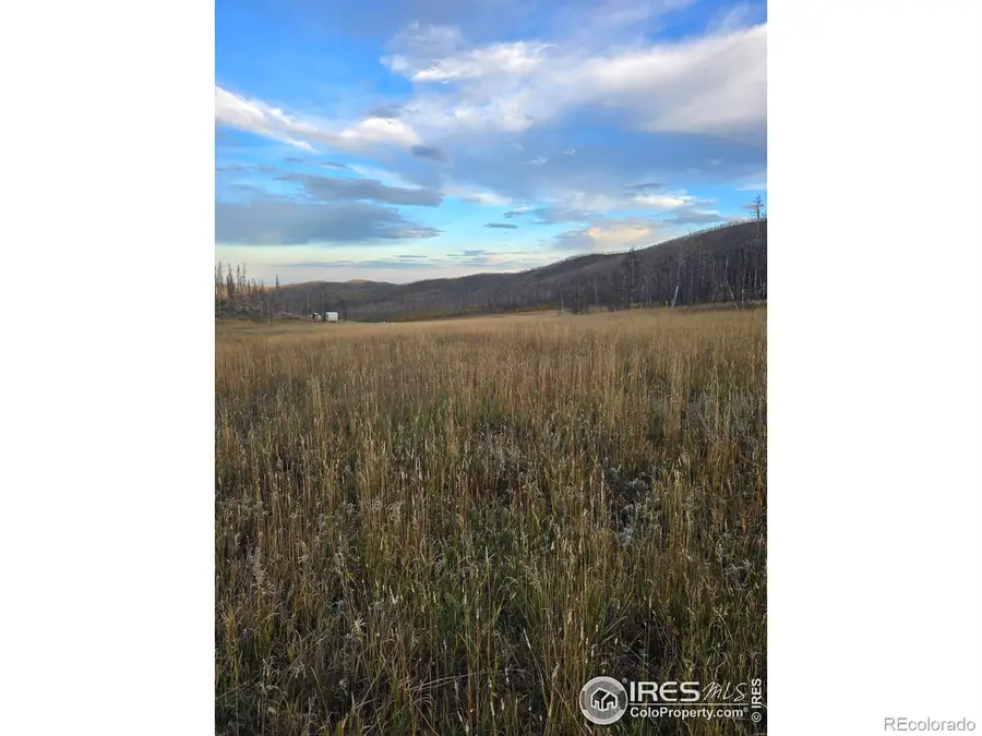 75 Sheep Horn Court, Bellvue, CO 80512 - #2