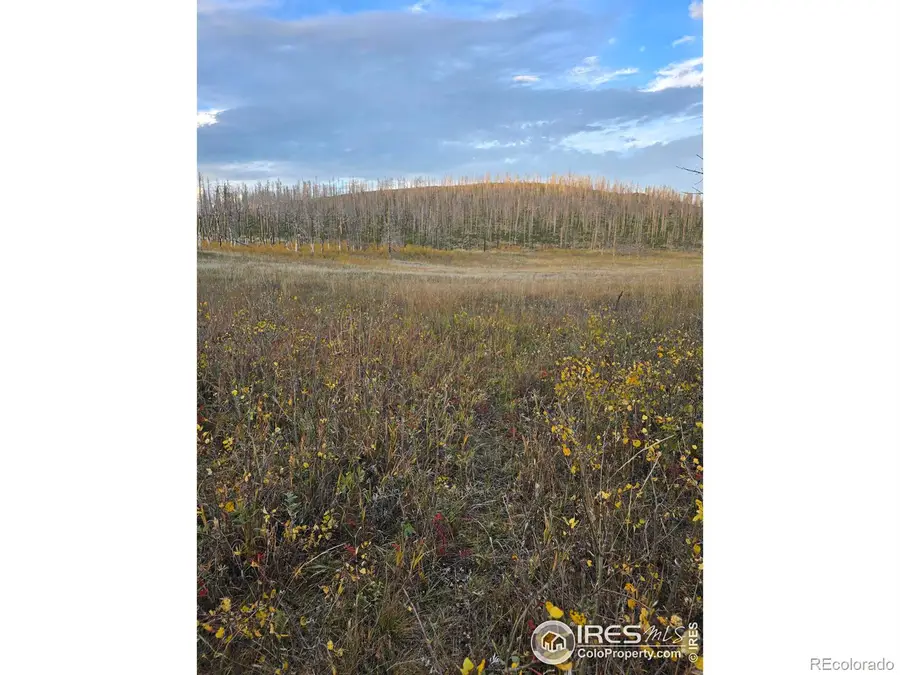 75 Sheep Horn Court, Bellvue, CO 80512 - #3