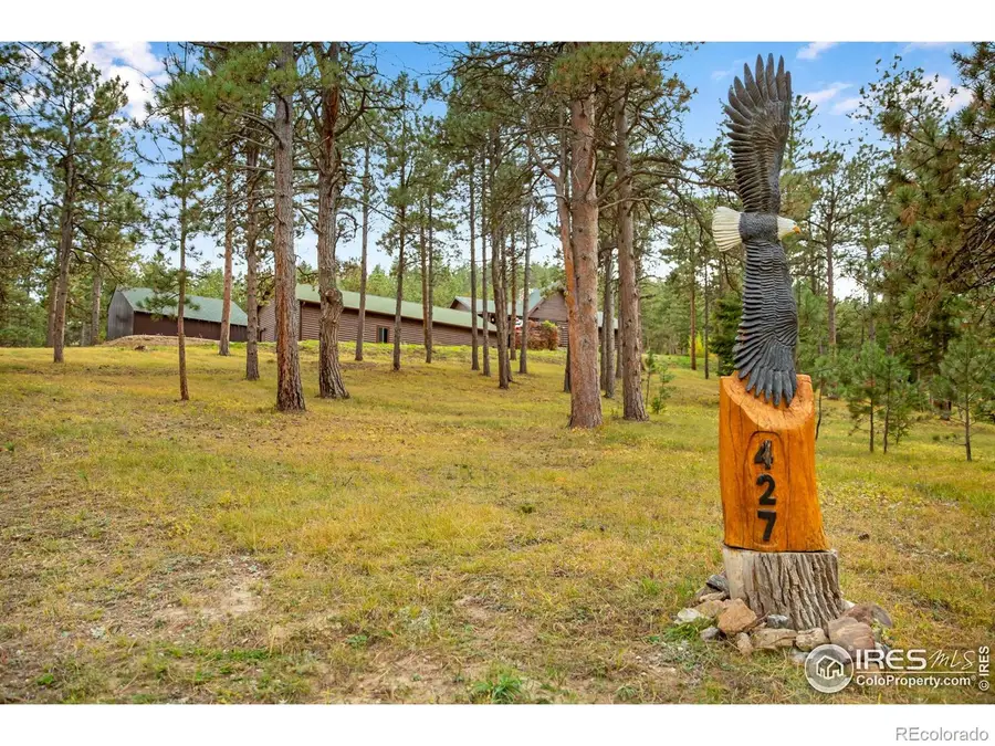 427 Wilderness Ridge Way, Bellvue, CO 80512 - #3