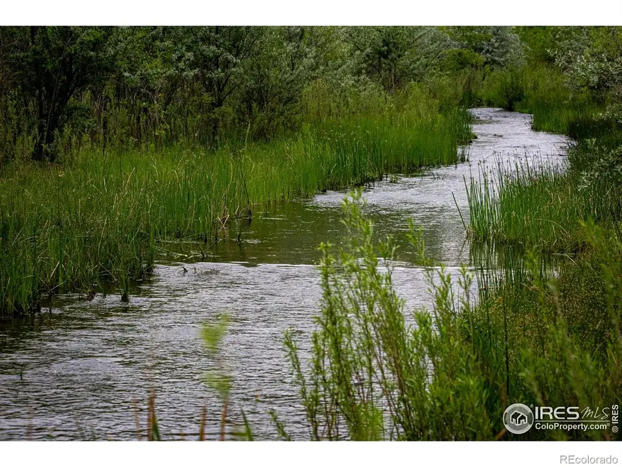 1796 Serene Place, Berthoud, CO 80513 - Image #3