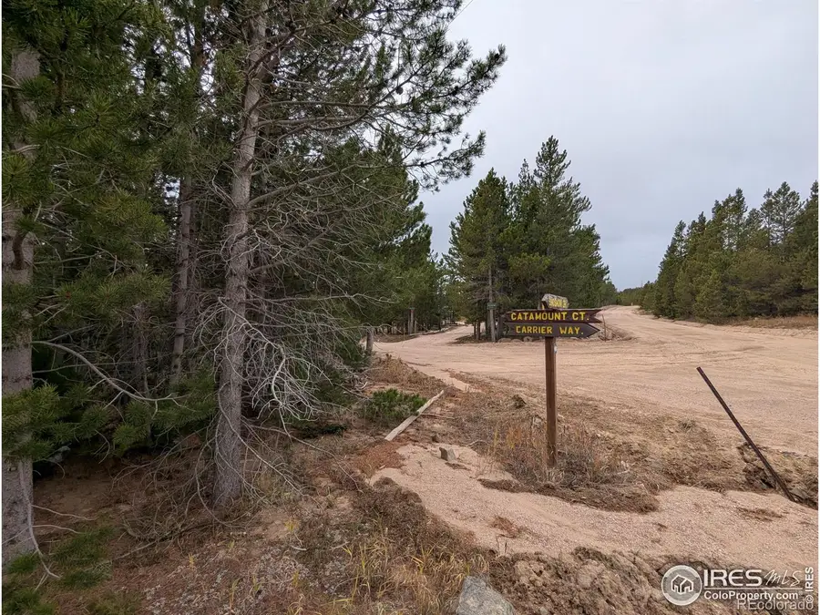 44 Catamount Court, Red Feather Lakes, CO 80545 - Image #2