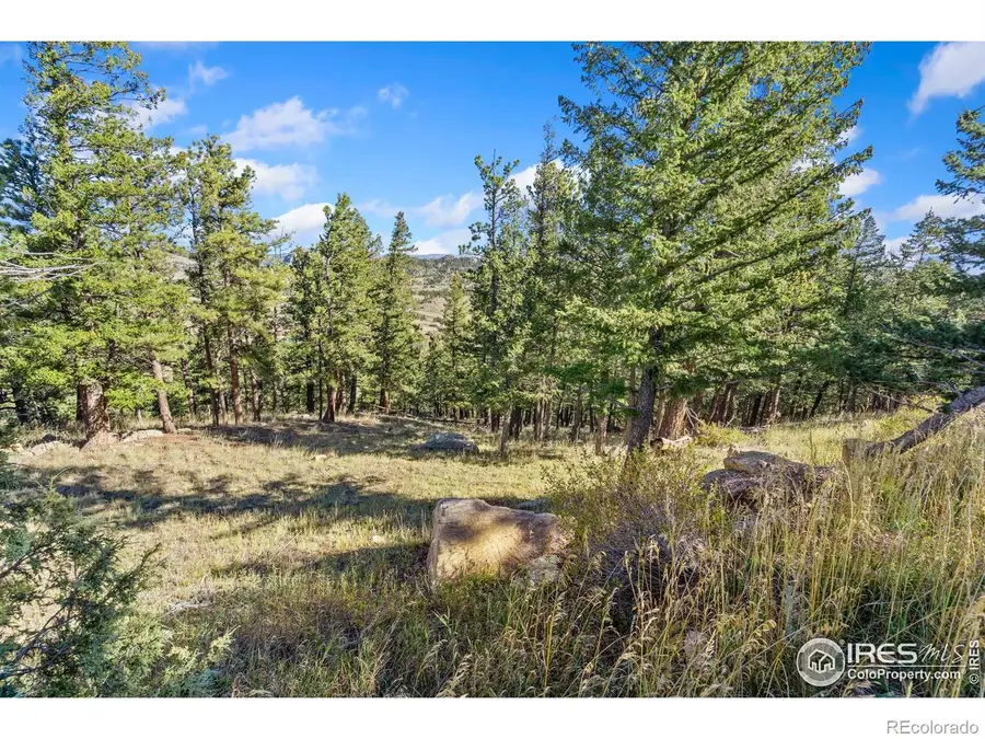 90 Sunlight Circle, Livermore, CO 80536 - Image #2