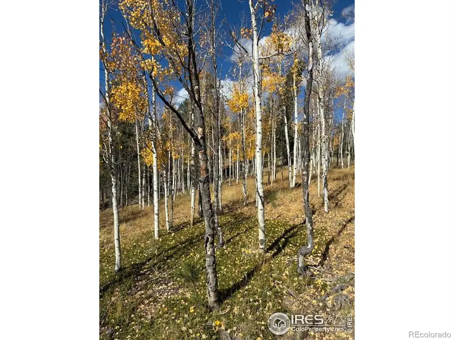 85 Remwood Circle, Divide, CO 80814 - Image #2