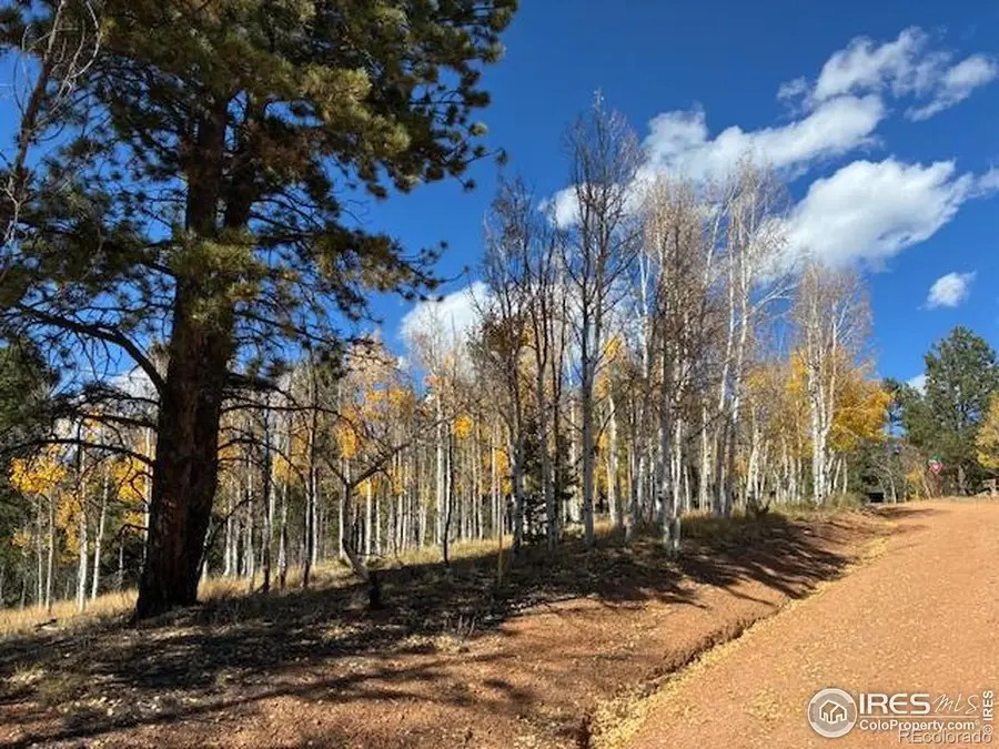 85 Remwood Circle, Divide, CO 80814 - Image #3