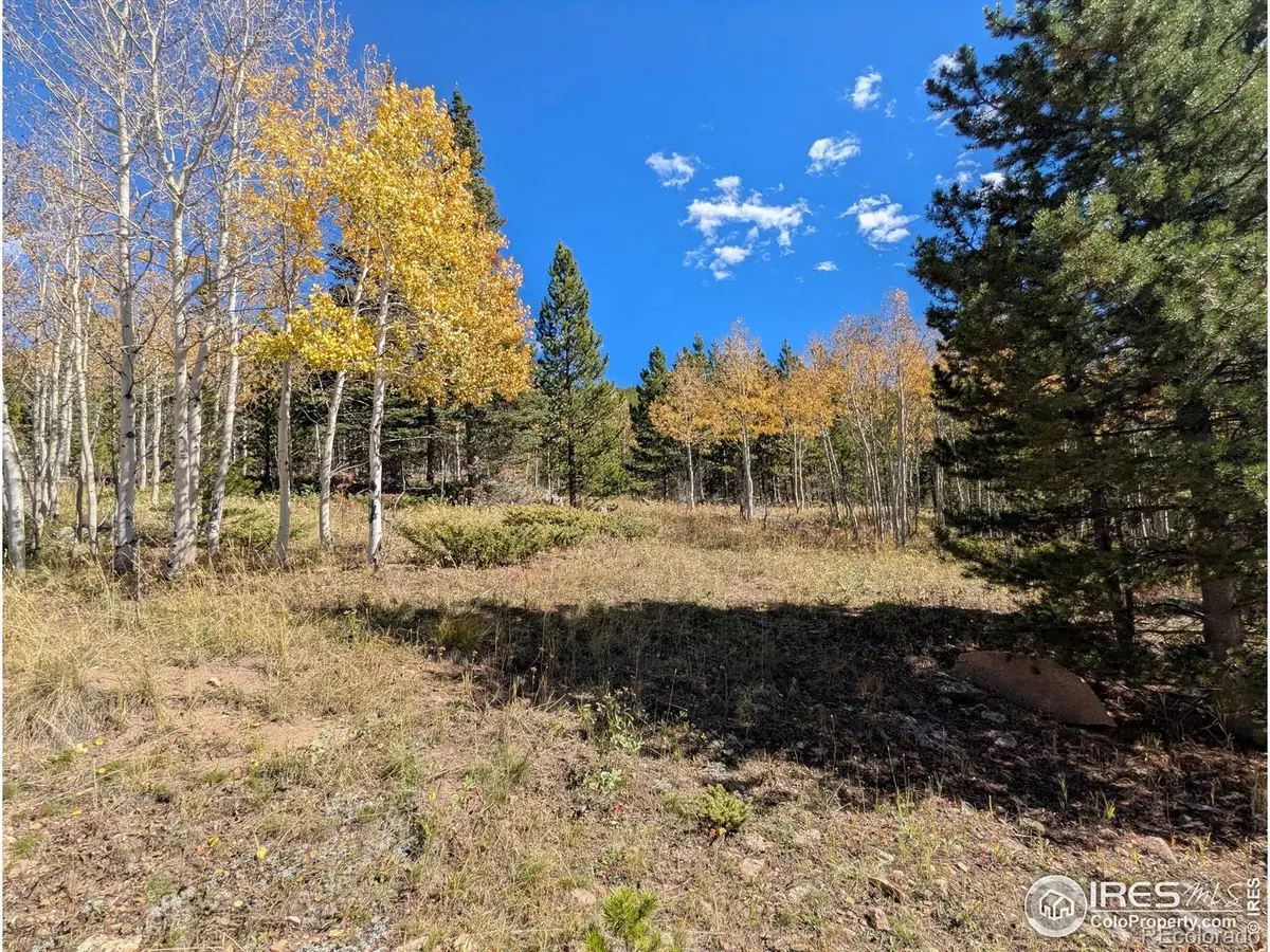 11 Bear Gulch Road, Red Feather Lakes, CO 80545 - Image #1