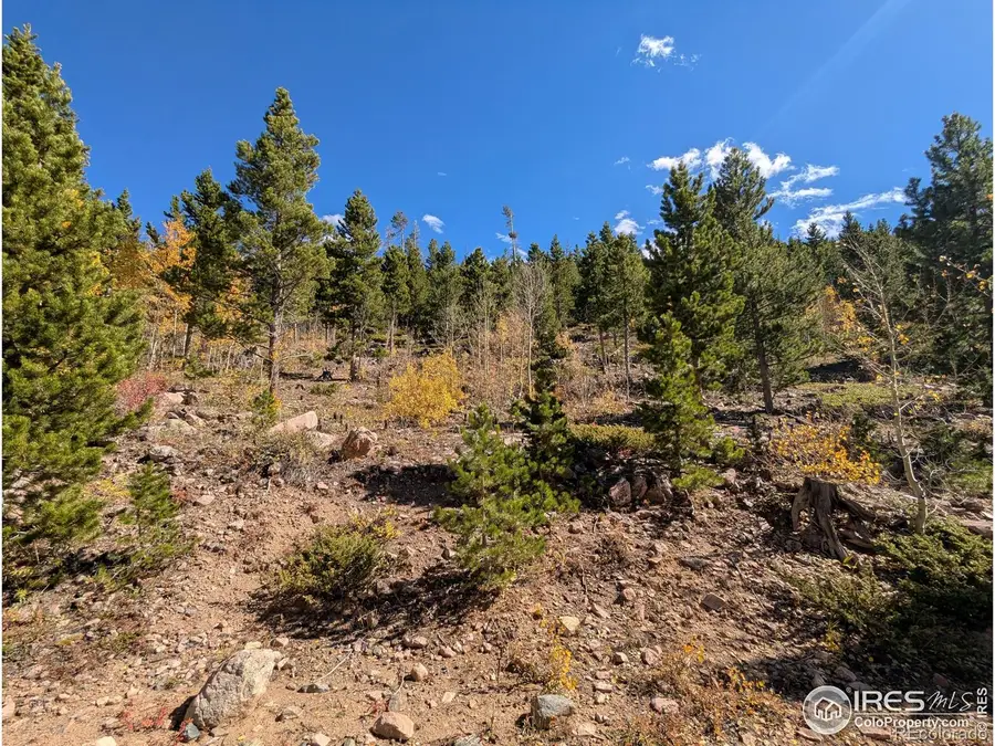 11 Bear Gulch Road, Red Feather Lakes, CO 80545 - Image #3