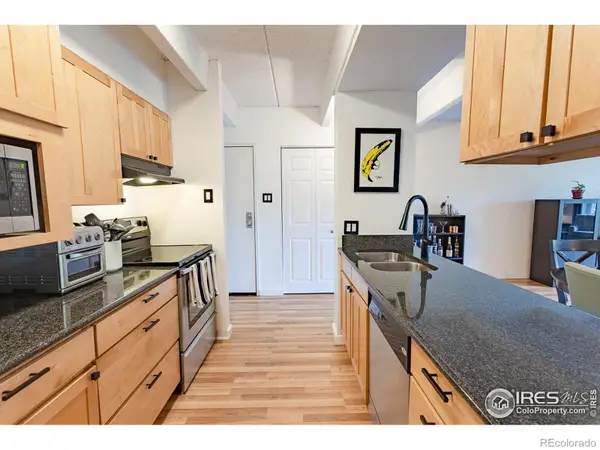 777 N Washington Street #508, Denver, CO 80203