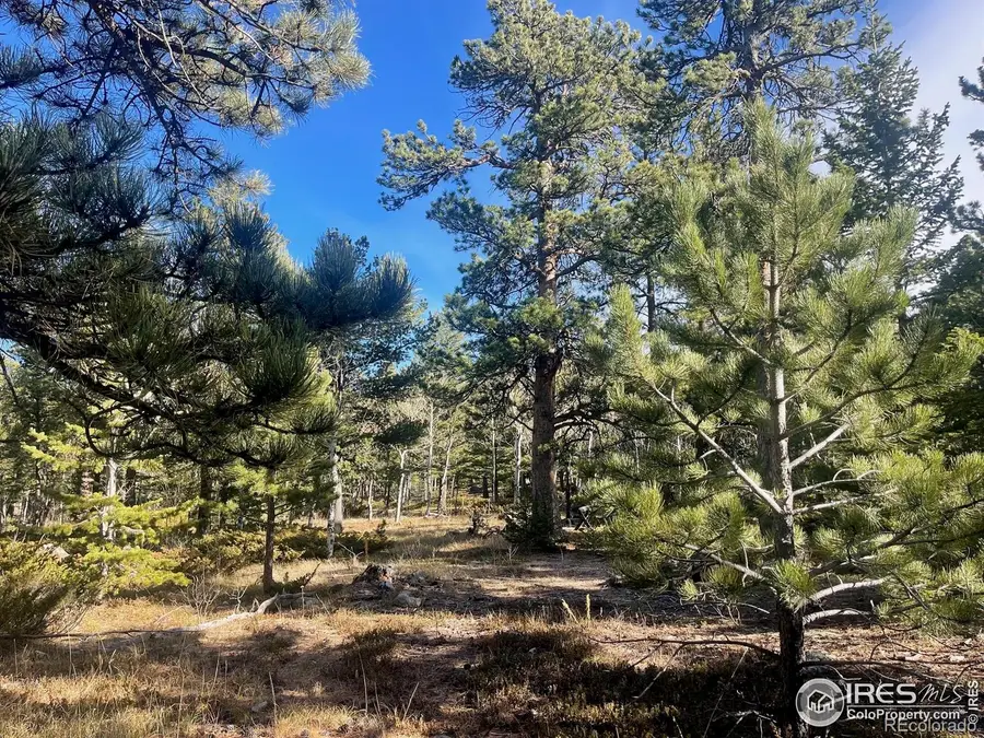 399 N Skinner Road, Allenspark, CO 80510 - Image #3