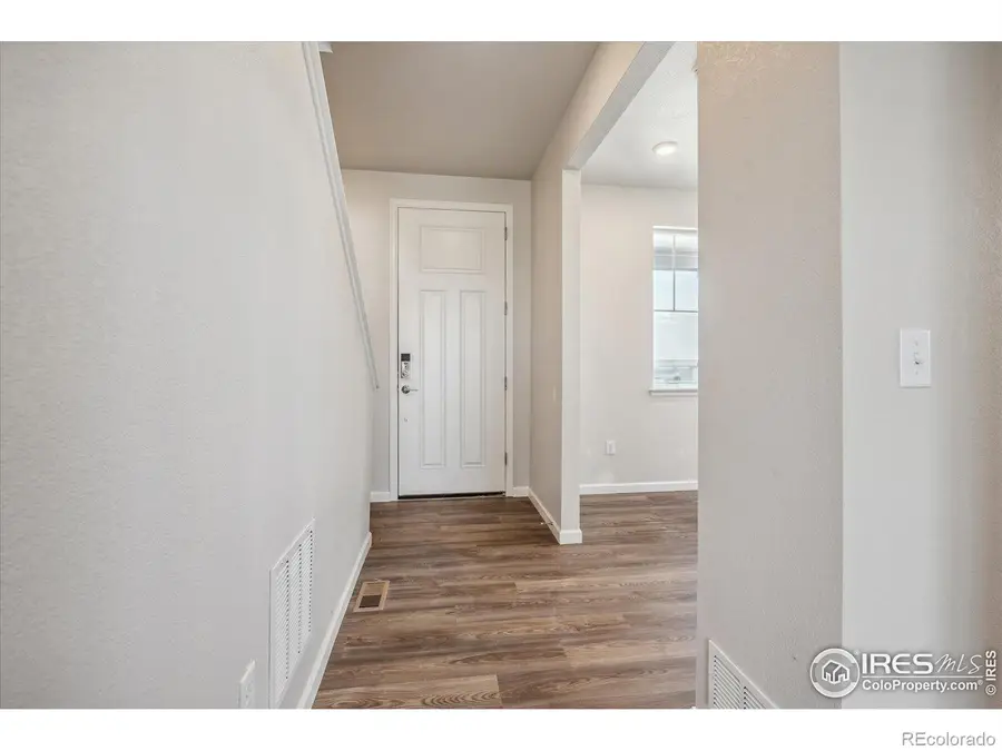 882 Mesic Lane, Windsor, CO 80550 - Image #3