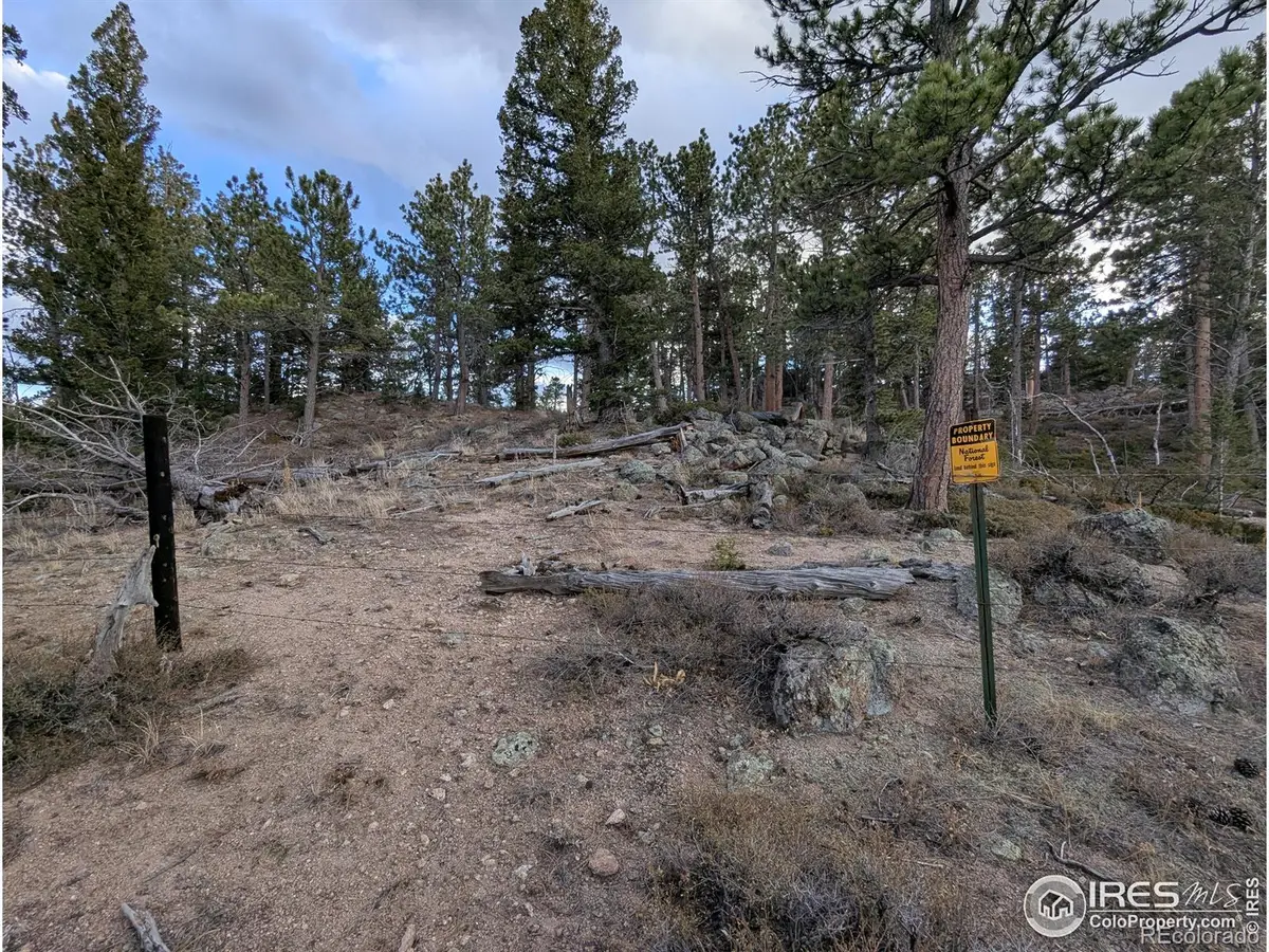 29 Santa Clara Court, Red Feather Lakes, CO 80545 - Image #1