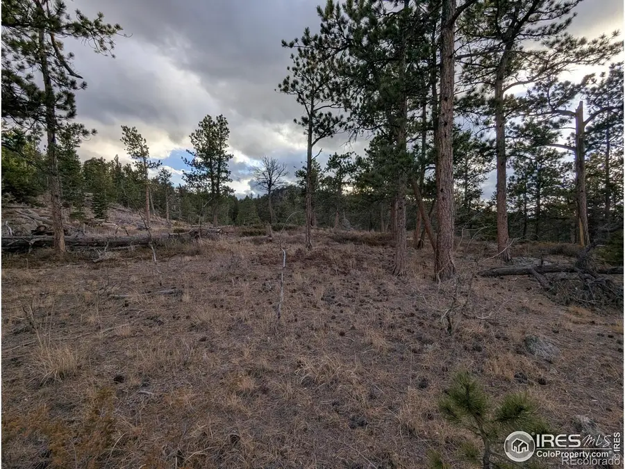 29 Santa Clara Court, Red Feather Lakes, CO 80545 - Image #3