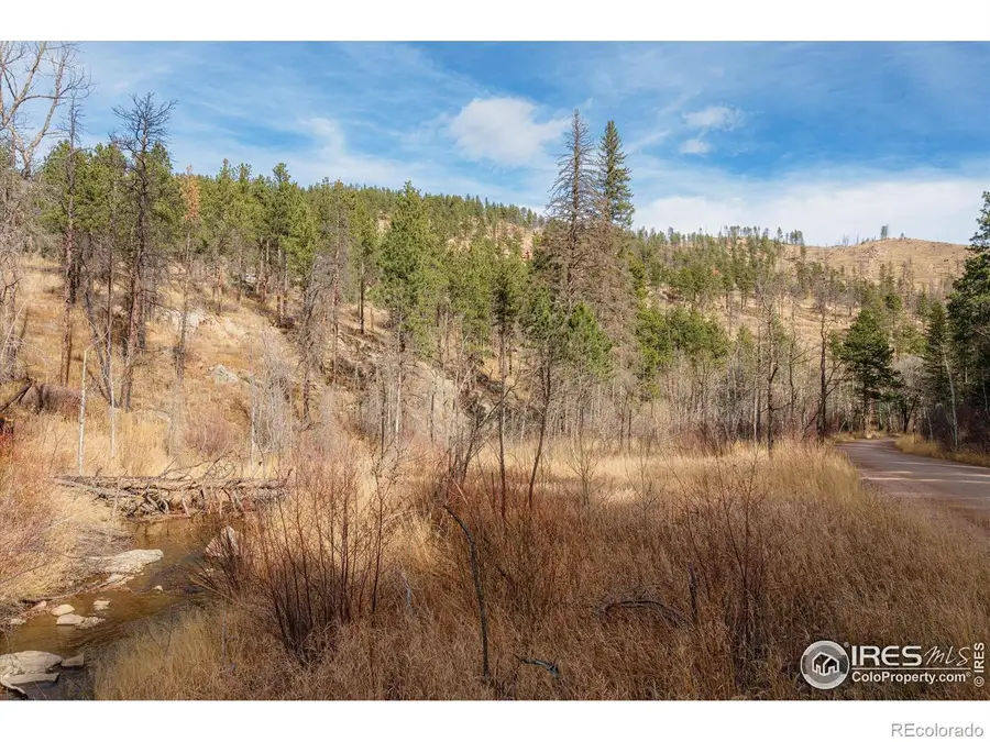 0 Cougar Cir Ct, Bellvue, CO 80512 - #2