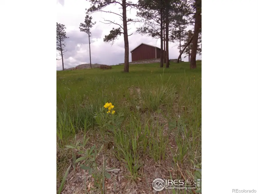 3434 Davis Ranch Road, Bellvue, CO 80512 - Image #2