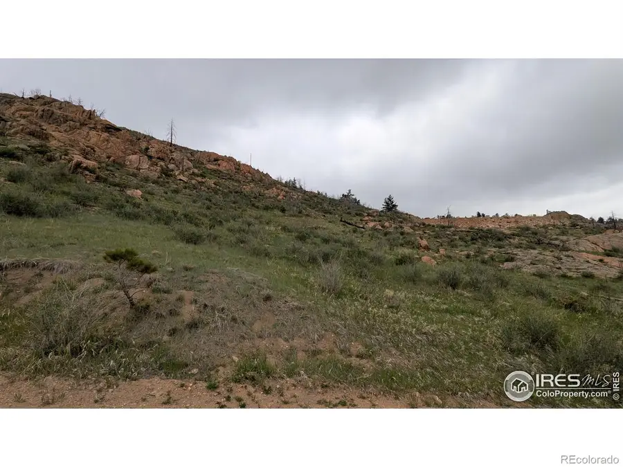 1191 Eiger Road, Livermore, CO 80536 - Image #3