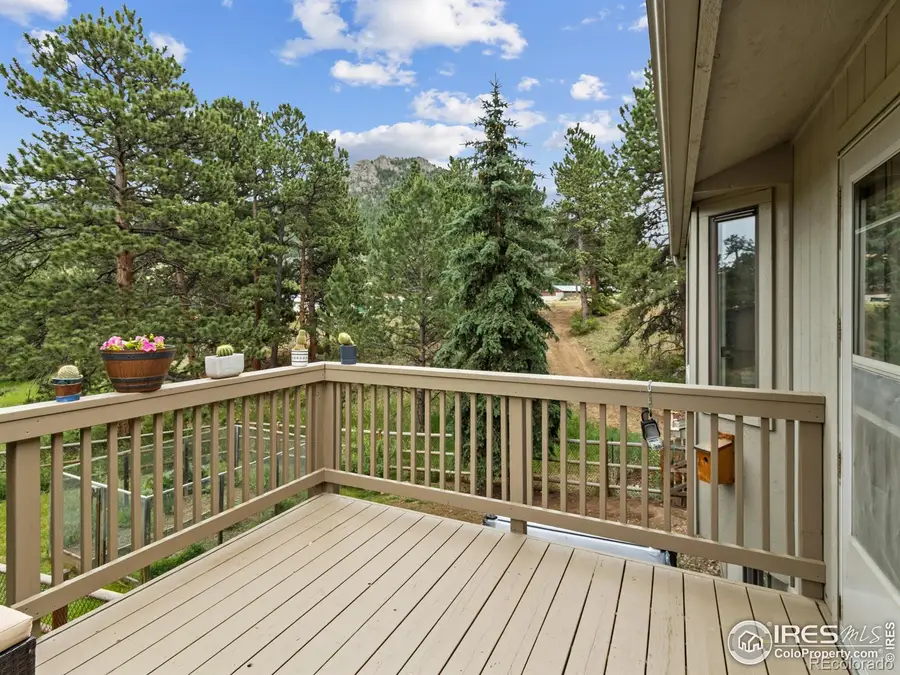 1224 Brook Drive, Estes Park, CO 80517 - Image #3