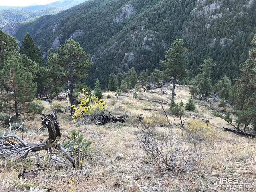 0 Good Friday Road, Boulder, CO 80302 - #2