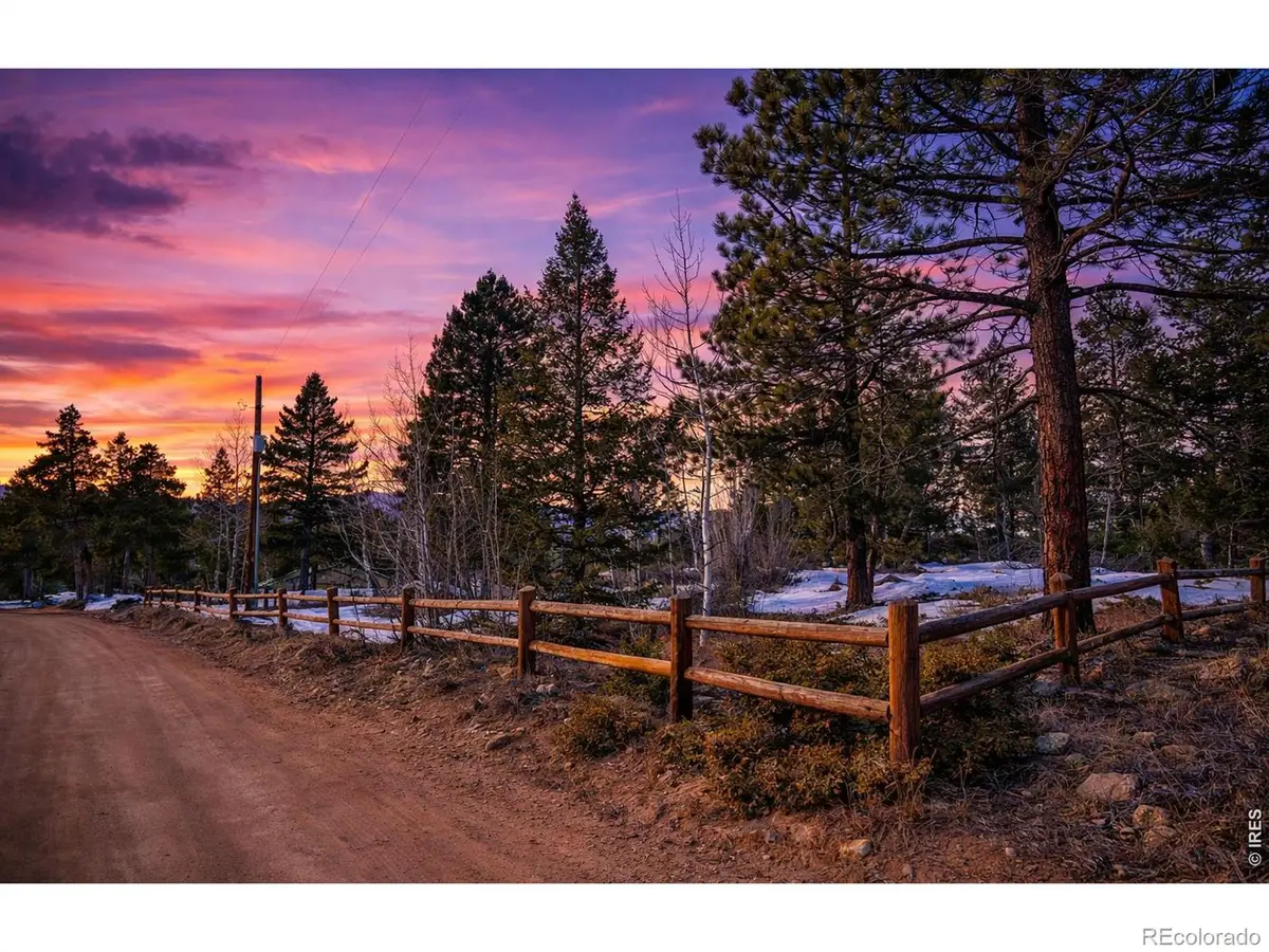 815 Cougar Run, Nederland, CO 80466 - #1