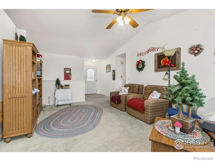 105 Blue Spruce Drive, Severance, CO 80550 - #3