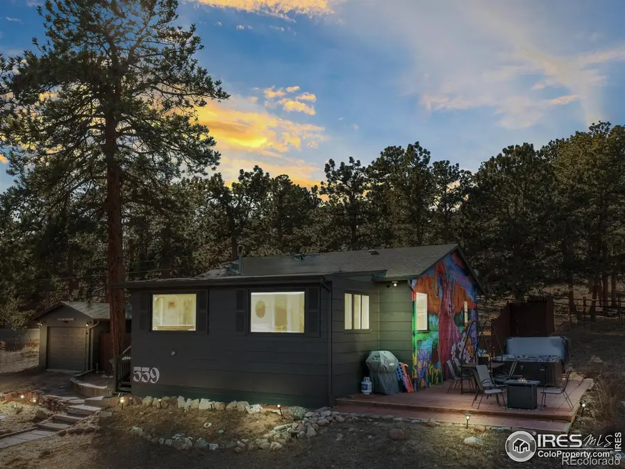 559 S Saint Vrain Avenue, Estes Park, CO 80517 - #3