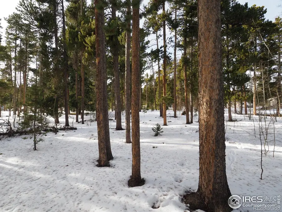 0 Long Trail Road, Black Hawk, CO 80422 - #3