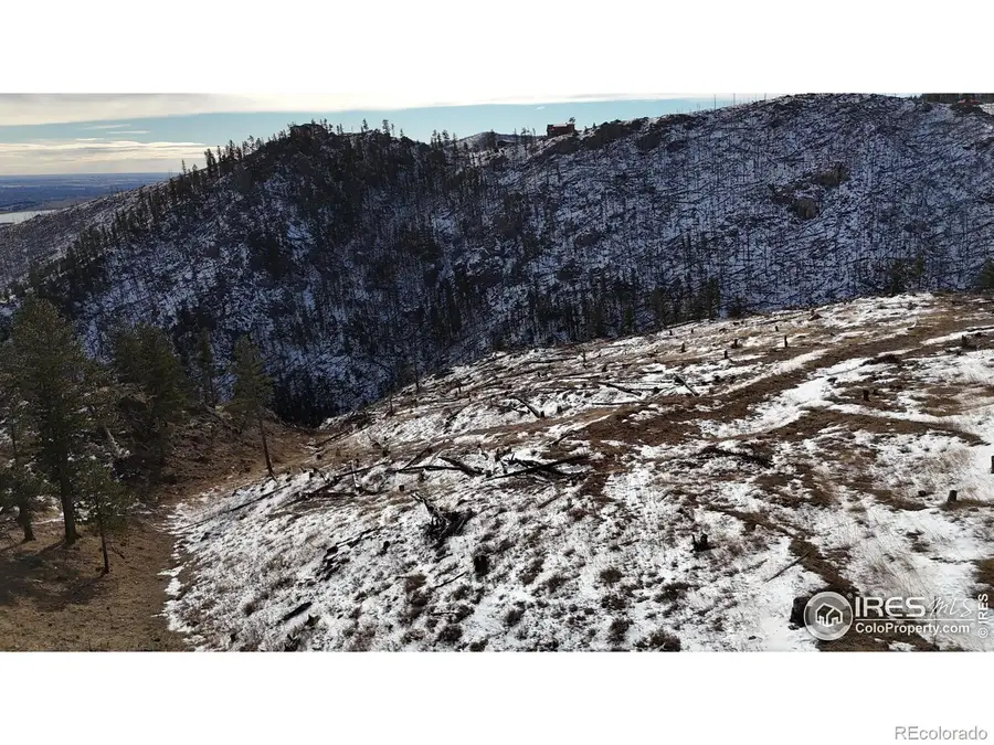 813 Hernia Hill Trail, Bellvue, CO 80512 - Image #3