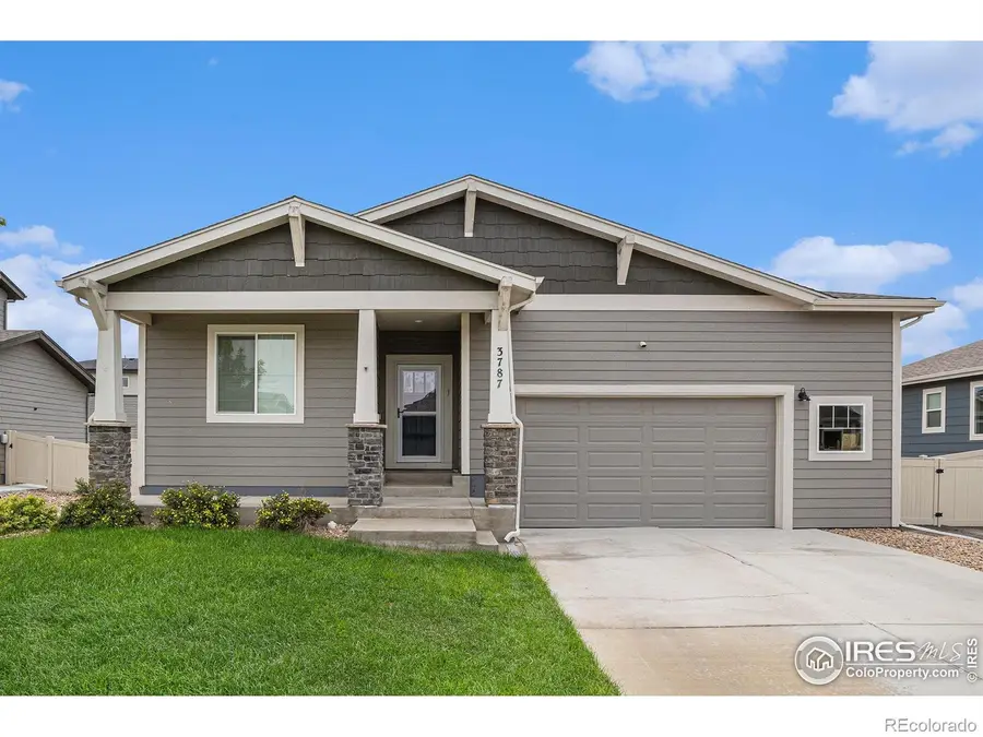 3787 Buckthorn Street, Wellington, CO 80549 - #2