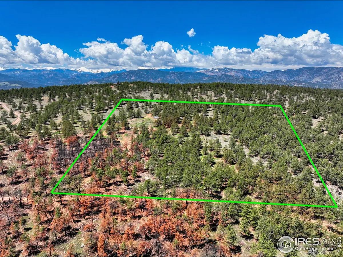 101 Lewis Lane, Lyons, CO 80503 - #1