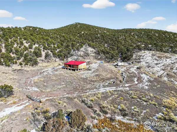 4291 Stratton Road, Fort Garland, CO 81133